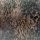 Futterstoff Dessin Roots (Abstrakt, Tiere) - braun / schwarz / beige / grau