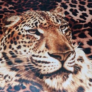 Lining fabric design Tiger (animals) - brown / black / white / orange